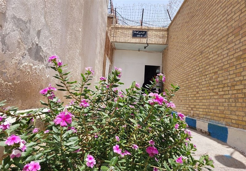 قوه قضائیه , زندان , واردات , واردات خودرو , خودروهای چینی , خلیج فارس , 