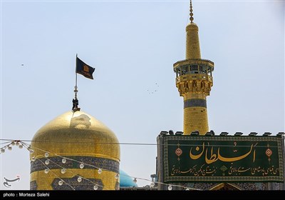 اینجا همه کبوترند؛ در آغوش ضامن آهو