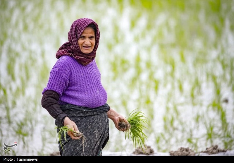 اخبار استان مازندران , اخبار بابل , 