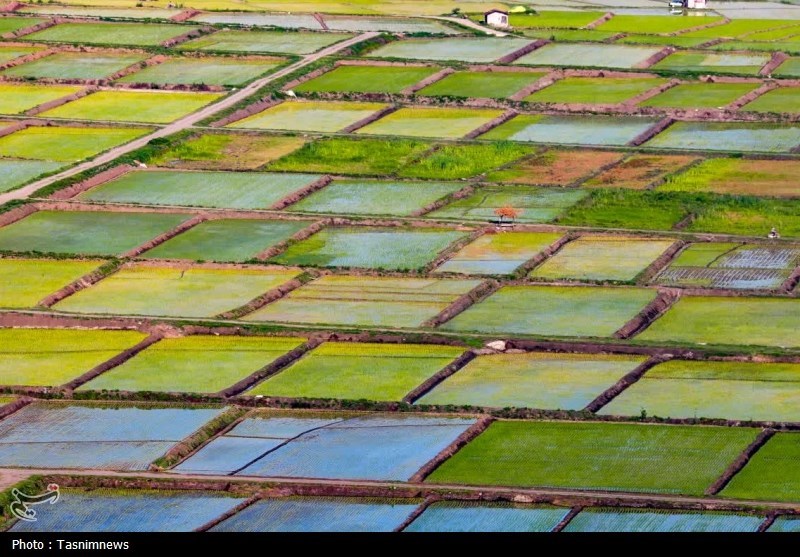 اخبار استان مازندران , اخبار بابل , 