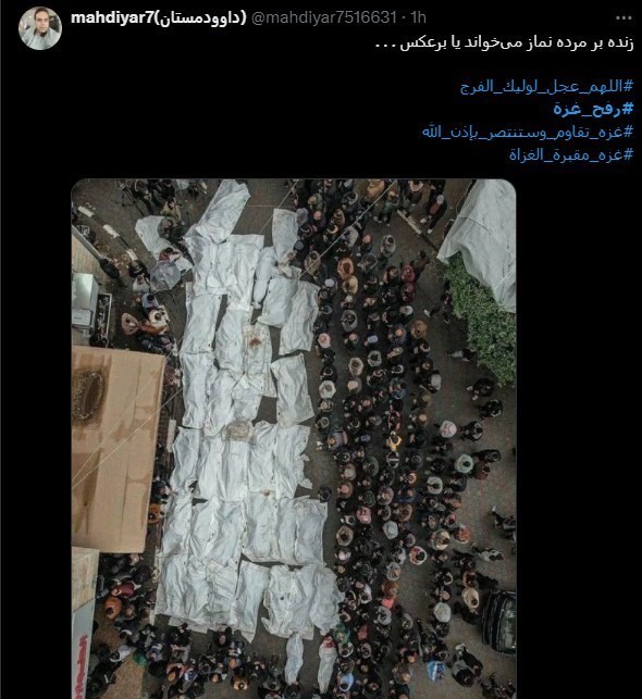 رفح , رژیم صهیونیستی (اسرائیل) , 