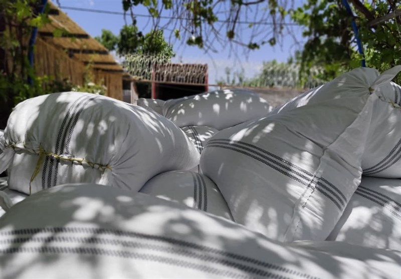 استان کرمان , سرقت ,