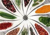 اقتصاد مقاومتی با طعم گیاهان دارویی/ کشت دارویی به جای دلهره خشکسالی