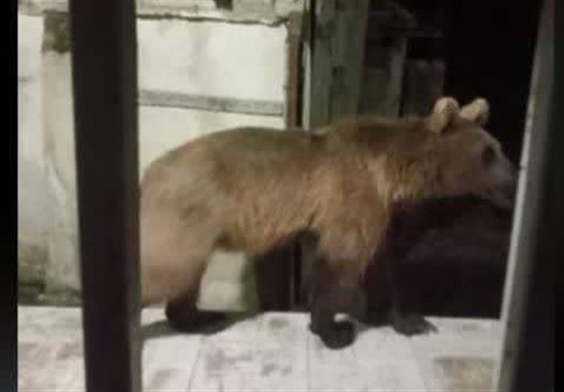 اخبار استان مازندران , اخبار ساری , 