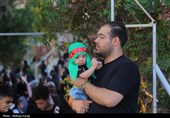 گردهمایی 800 برگزارکننده شیرخوارگان حسینی در حرم رضوی