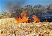 عملیات مهار حریق در کبیرکوه دره‌شهر ادامه دارد