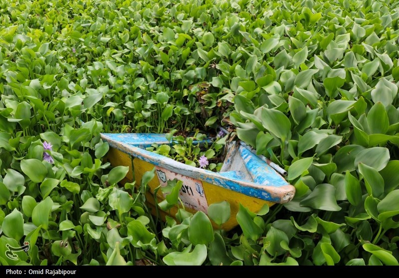 اخبار استان مازندران , اخبار ساری , نظام مسائل استان مازندران , نظام مسائل استان , 