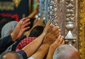 تصاویر/ حضور زائران اربعین در حرم عموی امام زمان در سامرا