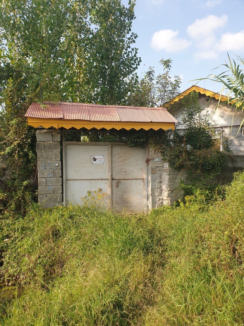 قتل با سلاح , مهسا امینی , استانداری گیلان , فراجا , 