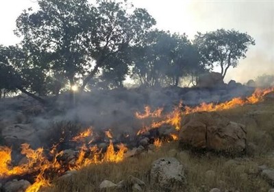 افزایش 33 درصدی وسعت حریق در اراضی مرتعی و جنگلی در چهارمحال و بختیاری