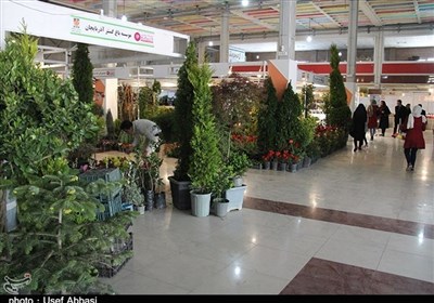 برگزاری نمایشگاه تخصصی گل و گیاه در  استان مرکزی