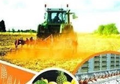 اجرای الگوی کشت بدون اصلاح حکمرانی آب و بازار ممکن نیست