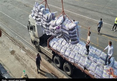 ترخیص 171 هزار تن کالا از ابتدای جنگ رمضان در گمرکات بوشهر