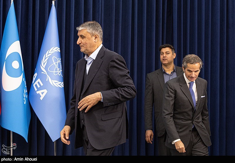 آژانس بینالمللی انرژی اتمی , صنعت هستهای , محمد اسلامی ,
