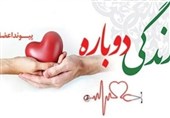 بخشش یک مادر ساروقی با اهدای عضو نفس تازه در جان چند بیمار دمید