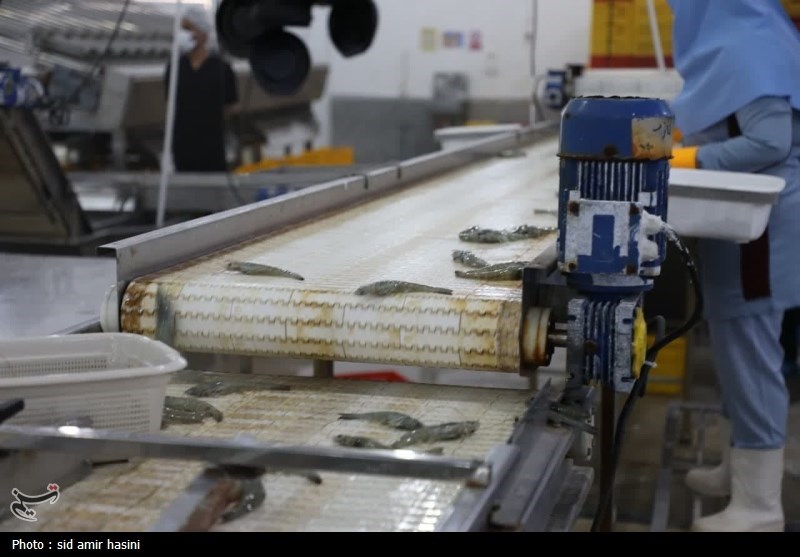 استان سیستان و بلوچستان , اخبار چابهار , سواحل مکران , 