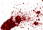 قتل هولناک زن میانسال در شاهرود/ اختلافات شخصی انگیزه اصلی جنایت بود