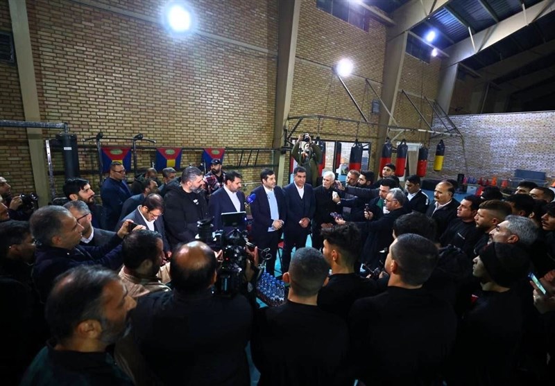 بوکس , فدراسیون بوکس , احمد دنیامالی , علیرضا استکی , محمد شروین اسبقیان , 