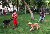 کودک سنندجی قربانی بی‌مدیریتی