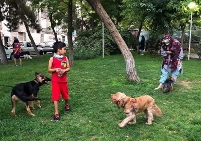 کودک سنندجی قربانی بی‌مدیریتی