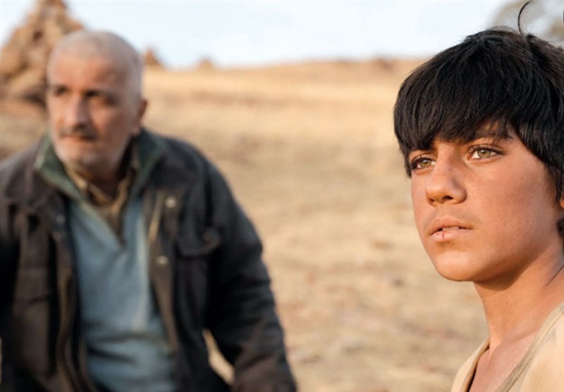 جشنواره فیلم فجر , سینمای ایران , سینما , فیلم , چهل و سومین جشنواره فیلم فجر , 