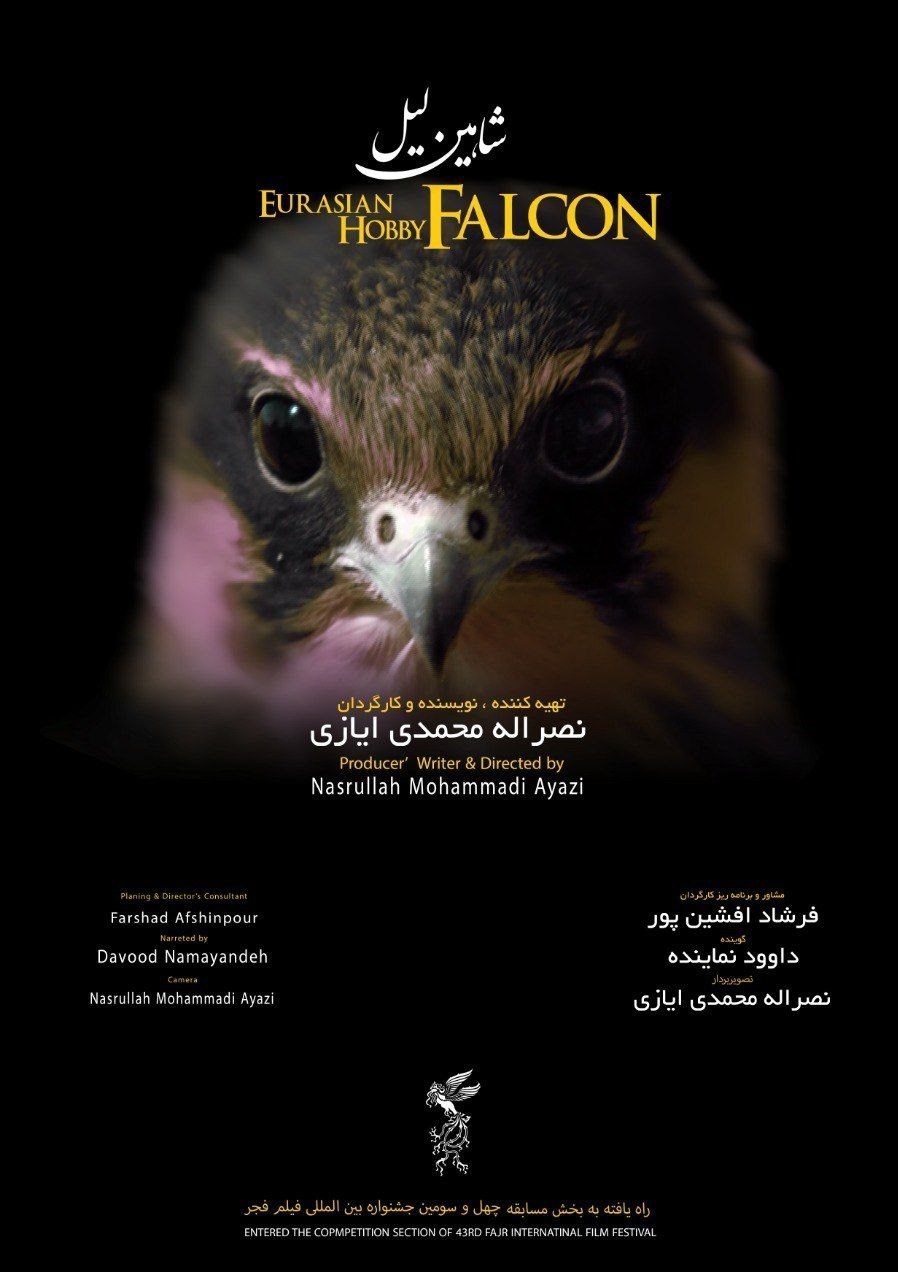 مستند , سینما , جشنواره فیلم فجر , سینمای ایران , چهل و سومین جشنواره فیلم فجر , 