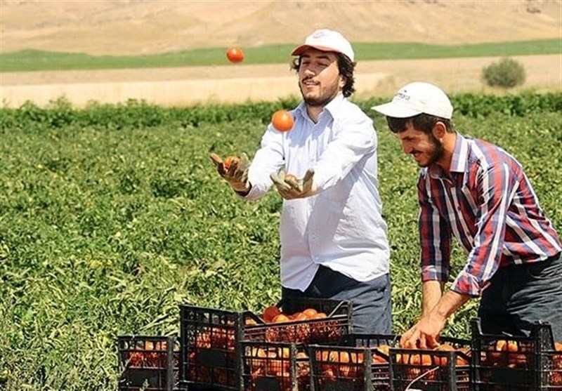 کشور ترکیه , کشاورزی , امنیت غذایی ,