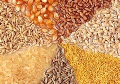 تحویل مدت‌دار نهاده دامی به مرغداران تصویب شد