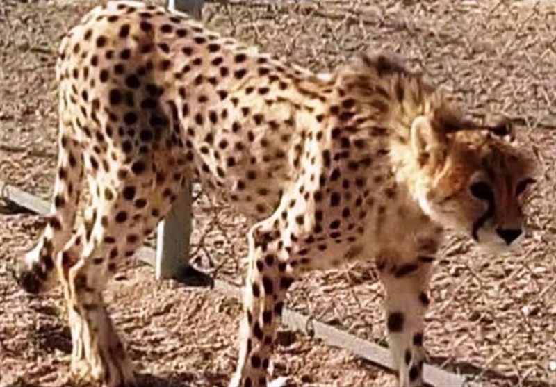 نظام مسائل استان سمنان , 