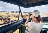درآمد میلیون دلاری از "مشاهده حیات وحش"؛ جایگزینی برای شکار