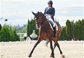 دبیر فدراسیون سوارکاری قهرمان درساژ ایران شد