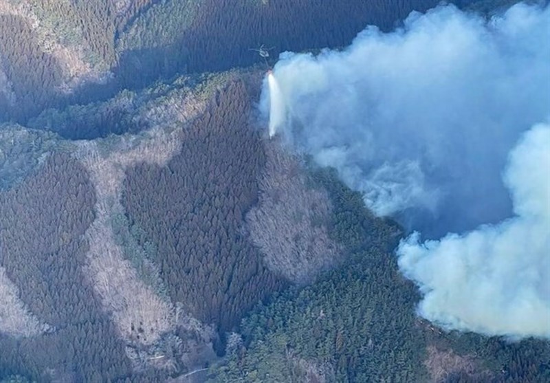Japan Deploys 1,400 Firefighters to Battle Raging Wildfires in North