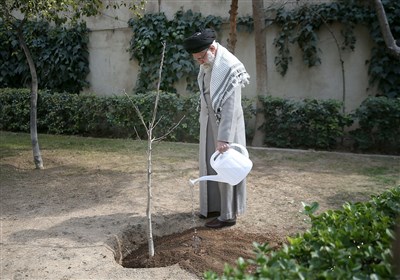 غرس 1300 نهال در گلستان به یاد امام شهید امت