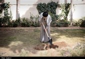 دعوت برای حضور در پویش کاشت نهال «به نام ایران، به یاد امام »