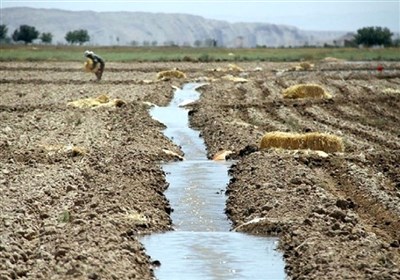 یادداشت|هشدار فائو برای ایران؛ زخم کهنه خاک و دوگانگی کشاورزی