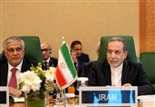 تحفظات ایران در خصوص نتایج نشست سازمان همکاری اسلامی