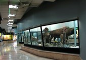 موزه تنوع زیستی از فردا پذیرای بازدیدکنندگان است