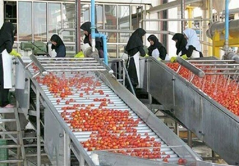 ارائه هزار مقاله در ششمین کنگره بین‌المللی علوم و صنایع غذایی آمل