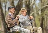 اینفوگرافیک| گیلان در آستانه سالمندترین دهه تاریخ خود
