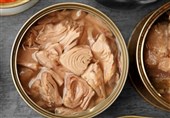 رفع ممنوعیت صادرات کنسرو تن ماهی
