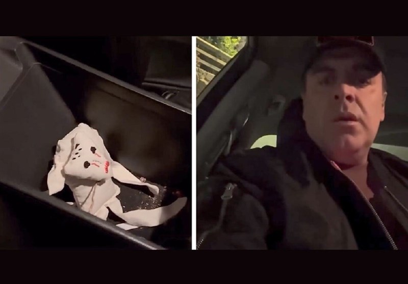 سریال , نمایش‌خانگی , حسن فتحی , 