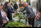 بازار گیاهان بهاری در کردستان/خواص دارویی که ناشناخته است+فیلم
