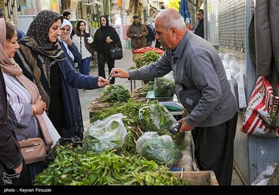 بازار گیاهان بهاری در کردستان/خواص دارویی که ناشناخته است+فیلم