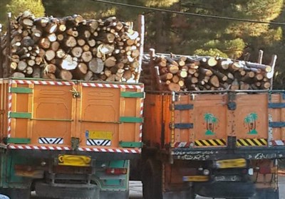 کشف 30 تن انواع گونه‌های چوب‌آلات قاچاق در اردبیل
