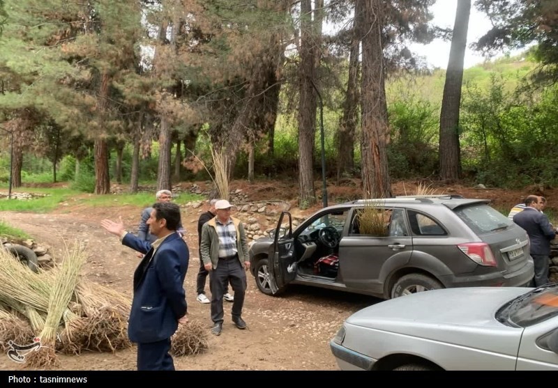 سازمان منابع طبیعی ,