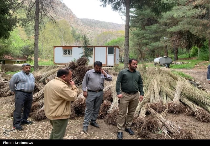 سازمان منابع طبیعی ,