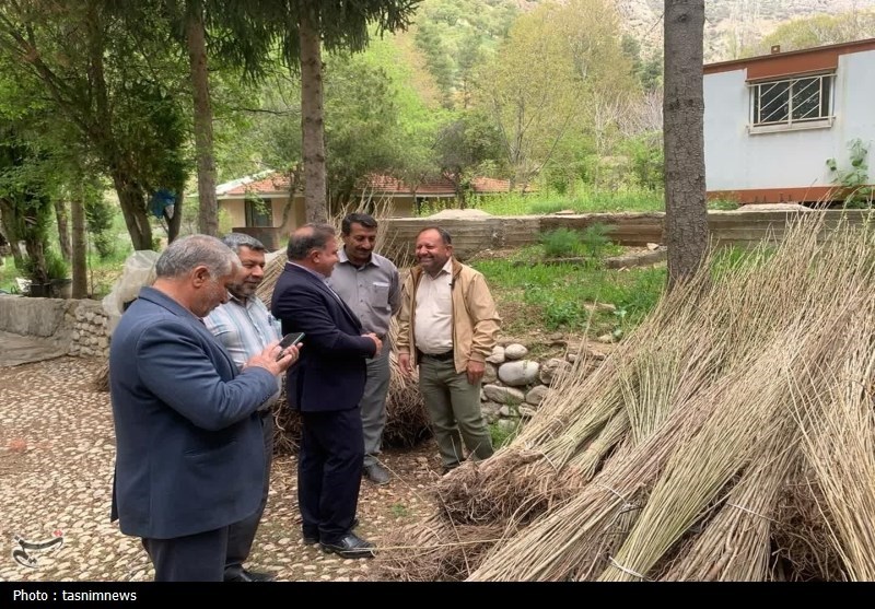 سازمان منابع طبیعی ,