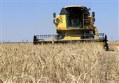 500 هزار تن محصول کشت پاییزه در خراسان شمالی
