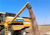 ارسال روزانه 5 هزار تن گندم به سراسر کشور