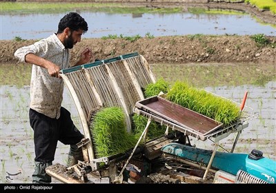 آنتی تحریم ــ 1| 40 ظرفیت بی‌نظیر توسعه کشاورزی ایران